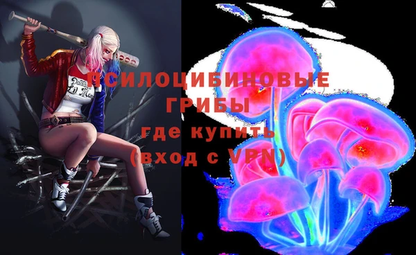 PSILOCYBIN Заволжск