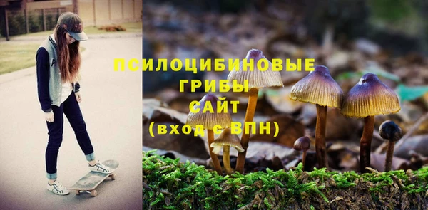 экстази Зеленокумск