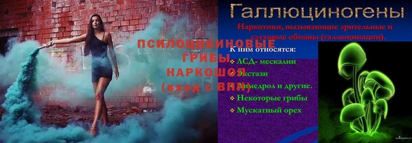PSILOCYBIN Заволжск