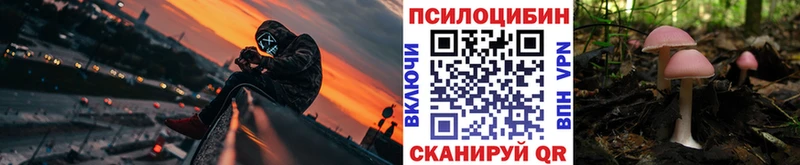 Псилоцибиновые грибы MAGIC MUSHROOMS  Купить где  Луга 